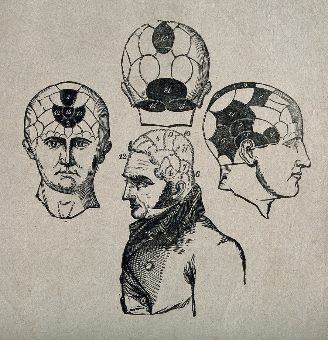 Three Phrenological Heads, Engraver unknown