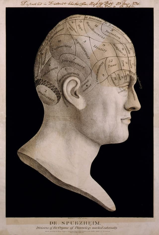 Spurzheim's Phrenological Head, J. G. Spurzheim