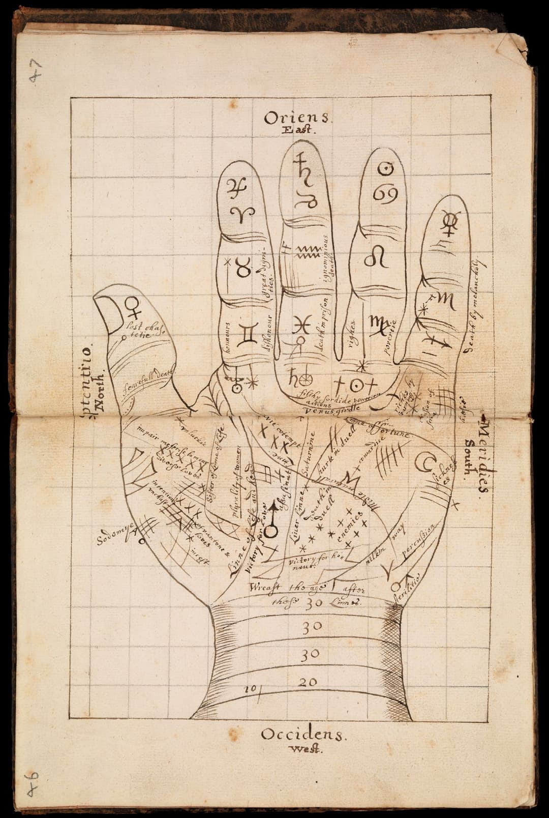 The Chiromantic Hand, Manuscript hand, unknown