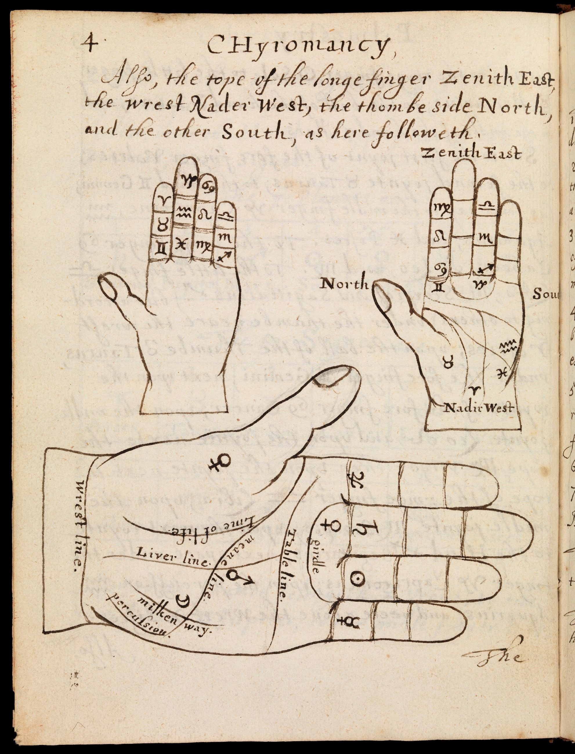 Three Hands in Chiromancy — from an English chiromancy manual, Manuscript hand, unknown, 1648