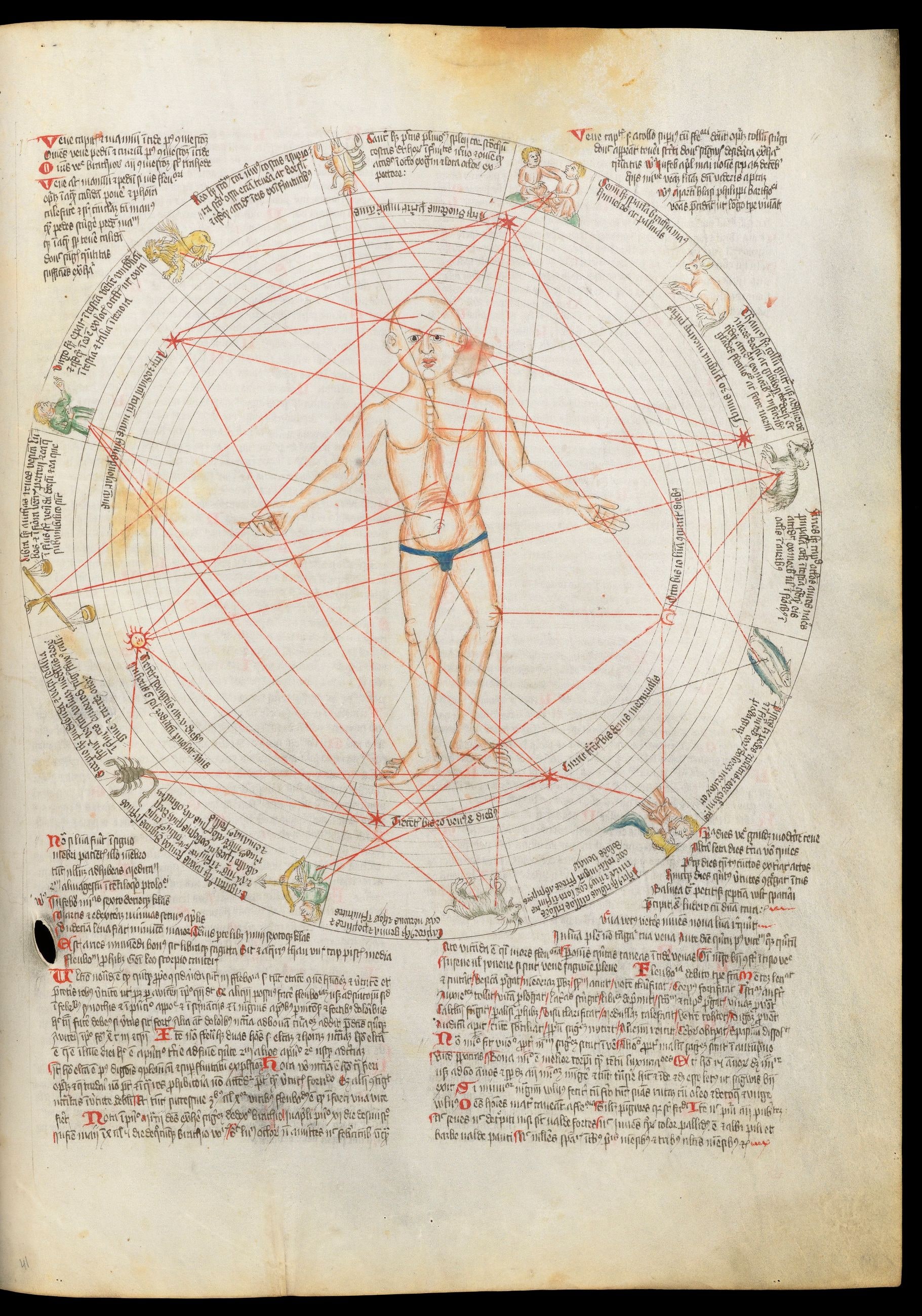 The Melothesia — from an astrological-medical treatise, Engraver unknown, c. 1660