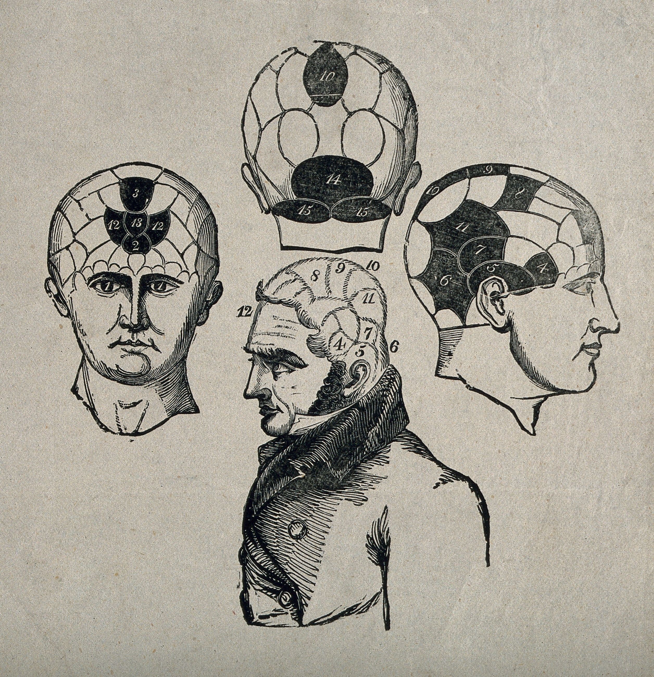 Three Phrenological Heads — from a phrenological handbook, Engraver unknown, 19th century