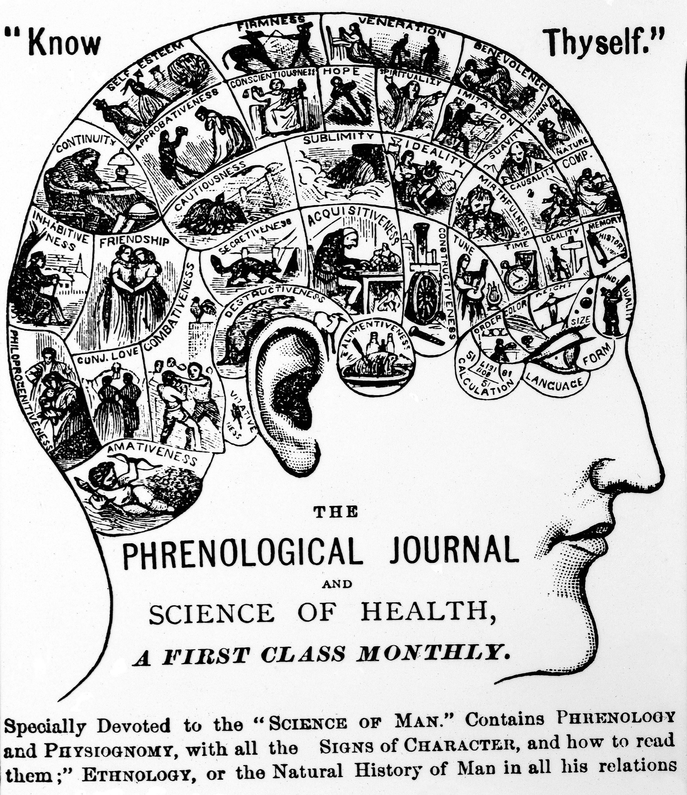 The Symbolical Head — from the Fowlers' phrenological charts, O. S. & L. N. Fowler, c. 1859
