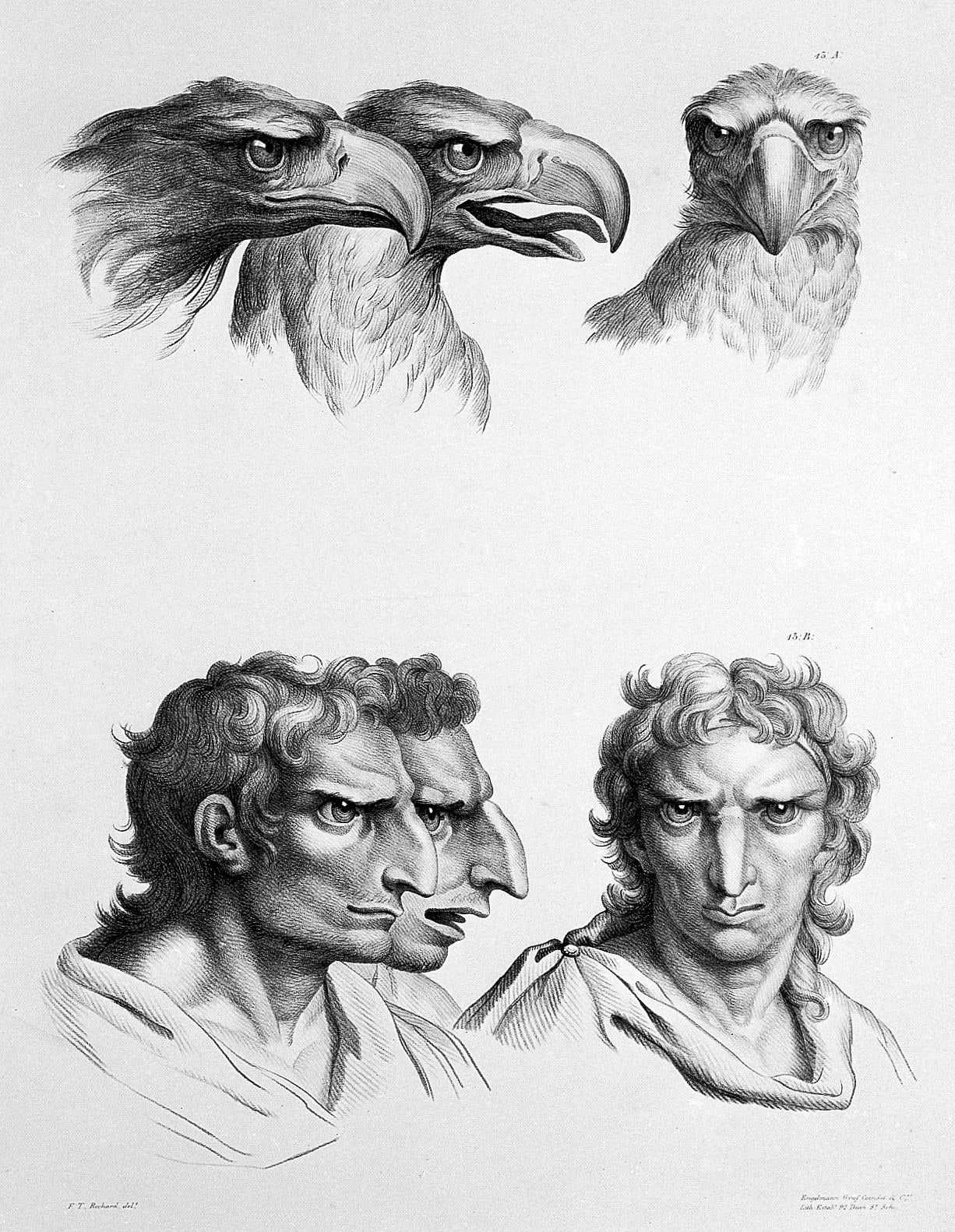 The Man and the Beast — from De humana physiognomonia, Giambattista della Porta, after Charles Le Brun, 1586